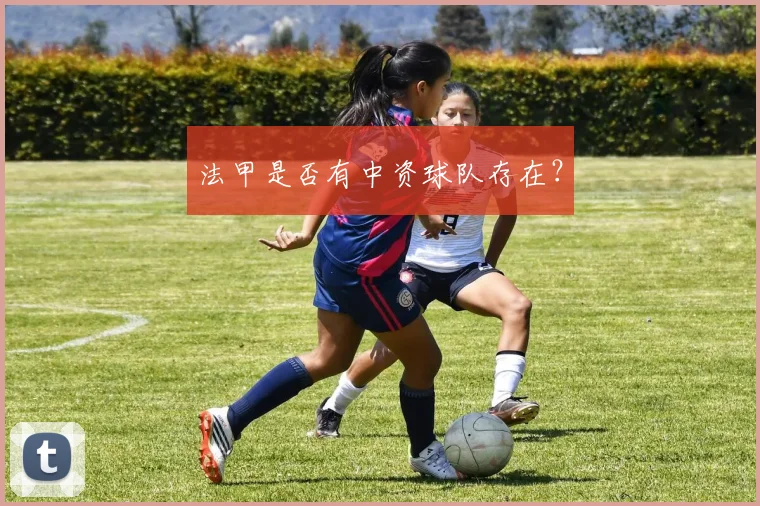 法甲是否有中资球队存在？