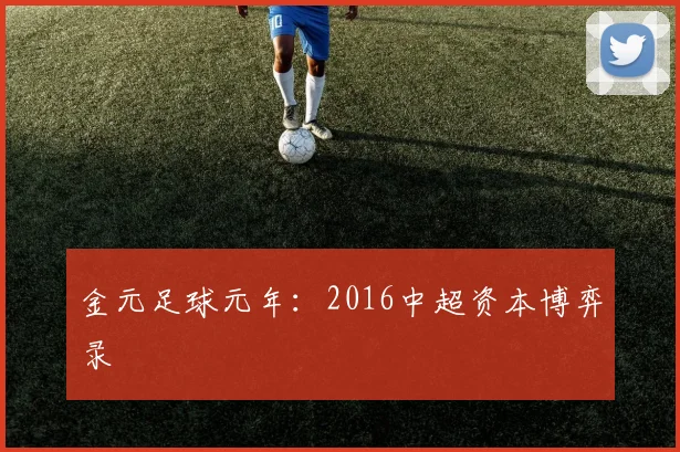 金元足球元年：2016中超资本博弈录