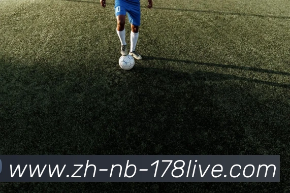 178体育直播发展历程